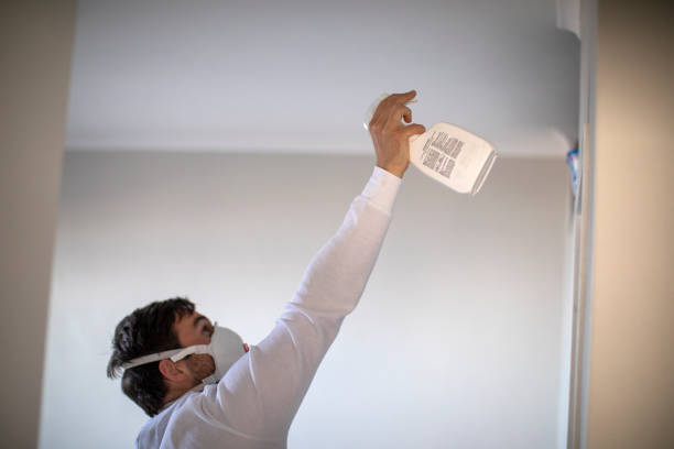 Best Commercial Mold Removal  in Swedeland, PA
