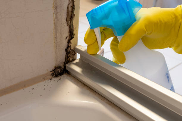Best Commercial Mold Removal  in Swedeland, PA
